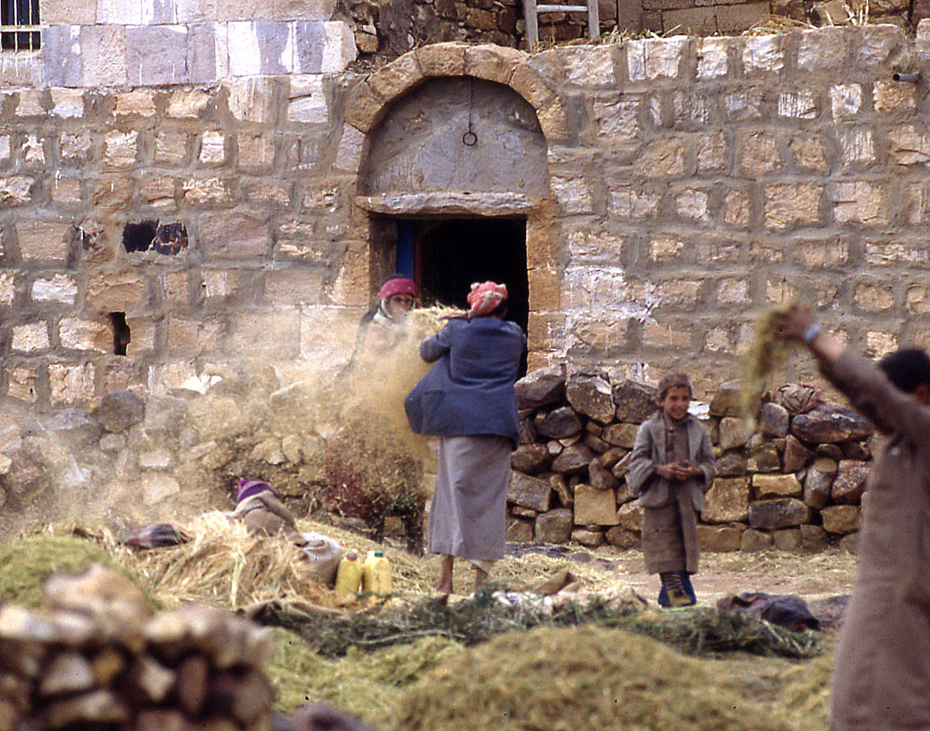 952 - Grain screening