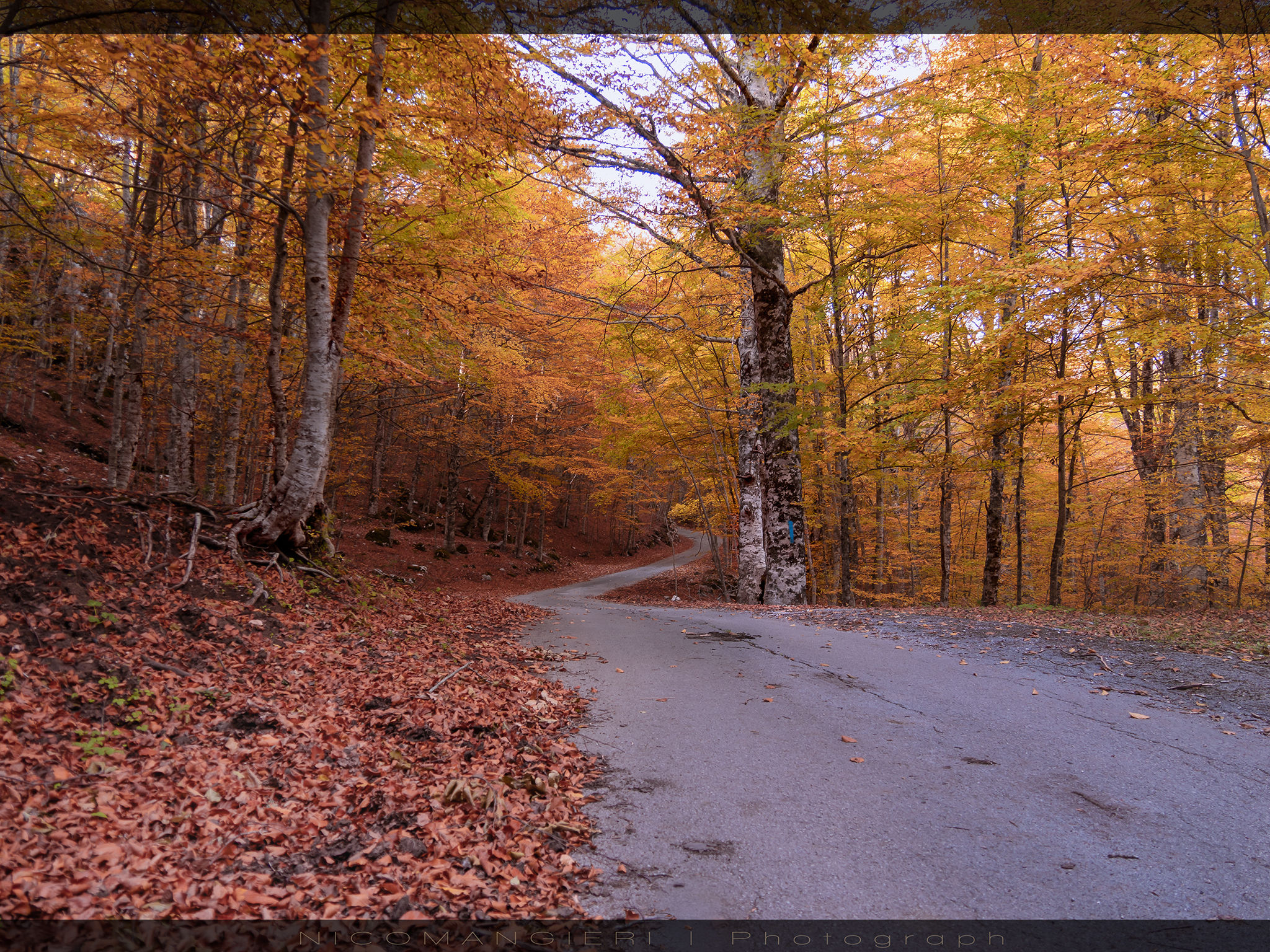 Autumn on the Alburni Mountains