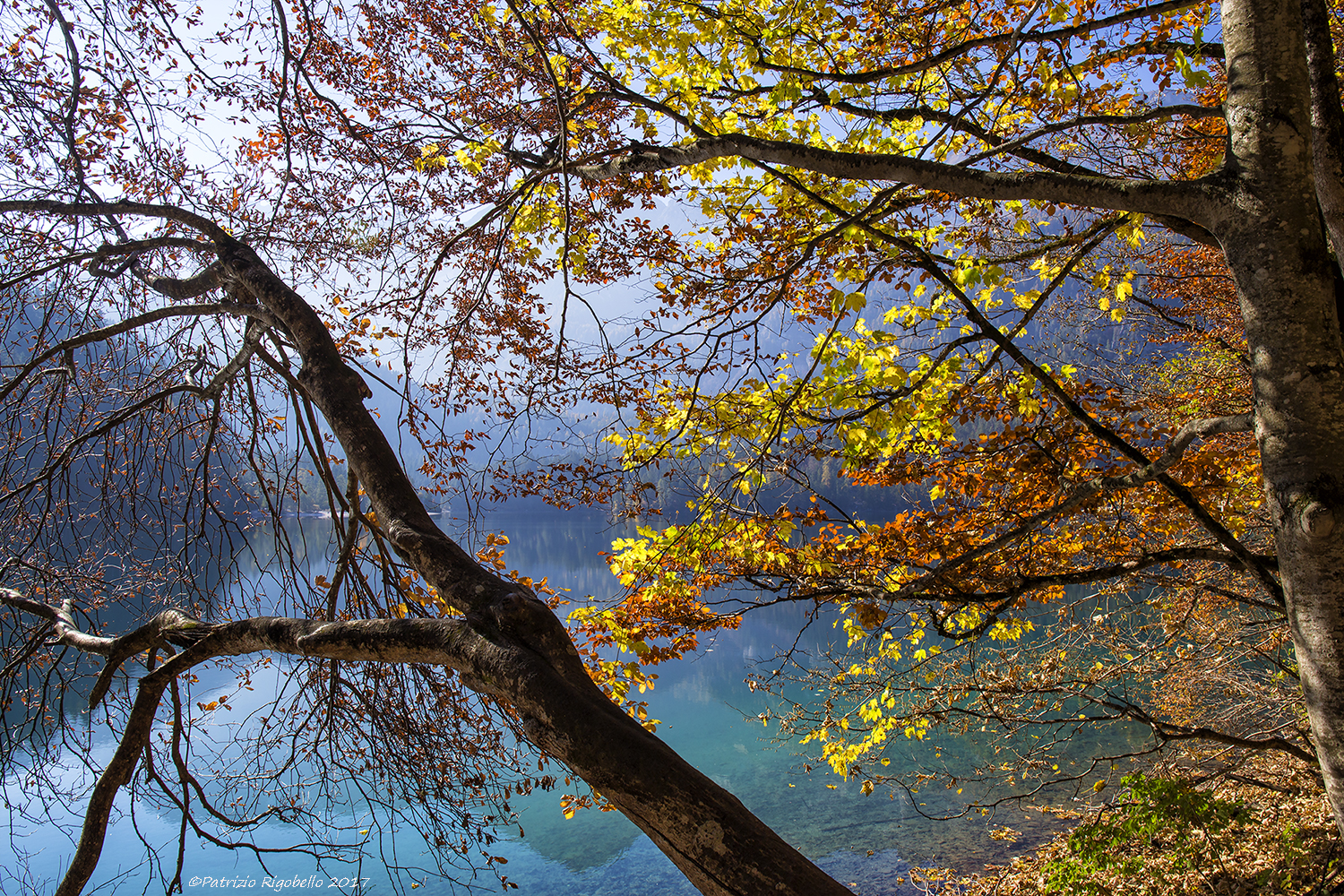 Tovel Lake - Autumn colors