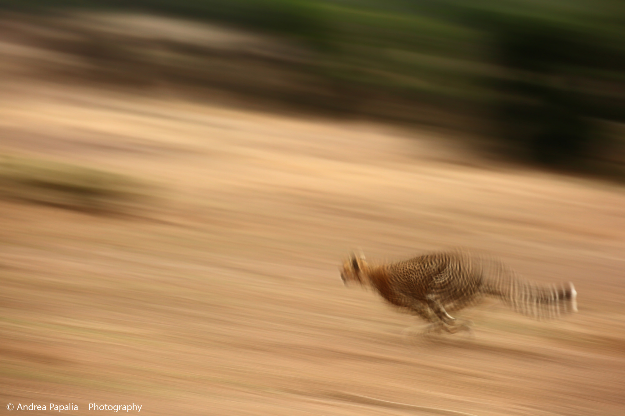 Vidi un lampo in Botswana