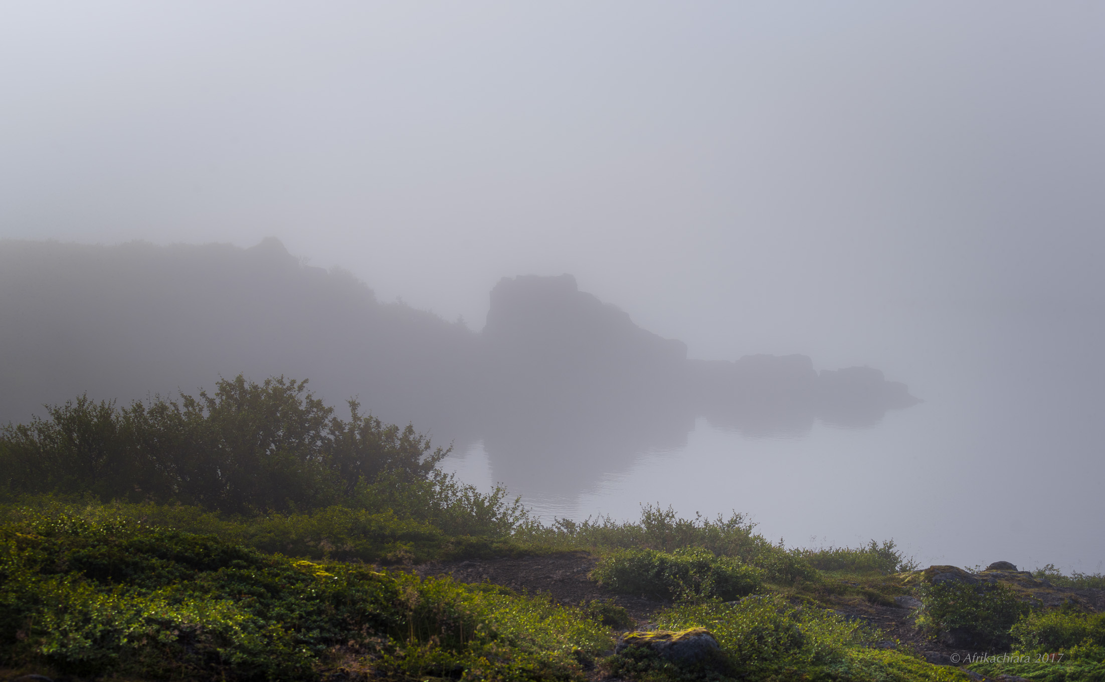 Nell'ovattato silenzio della nebbia mattutina
