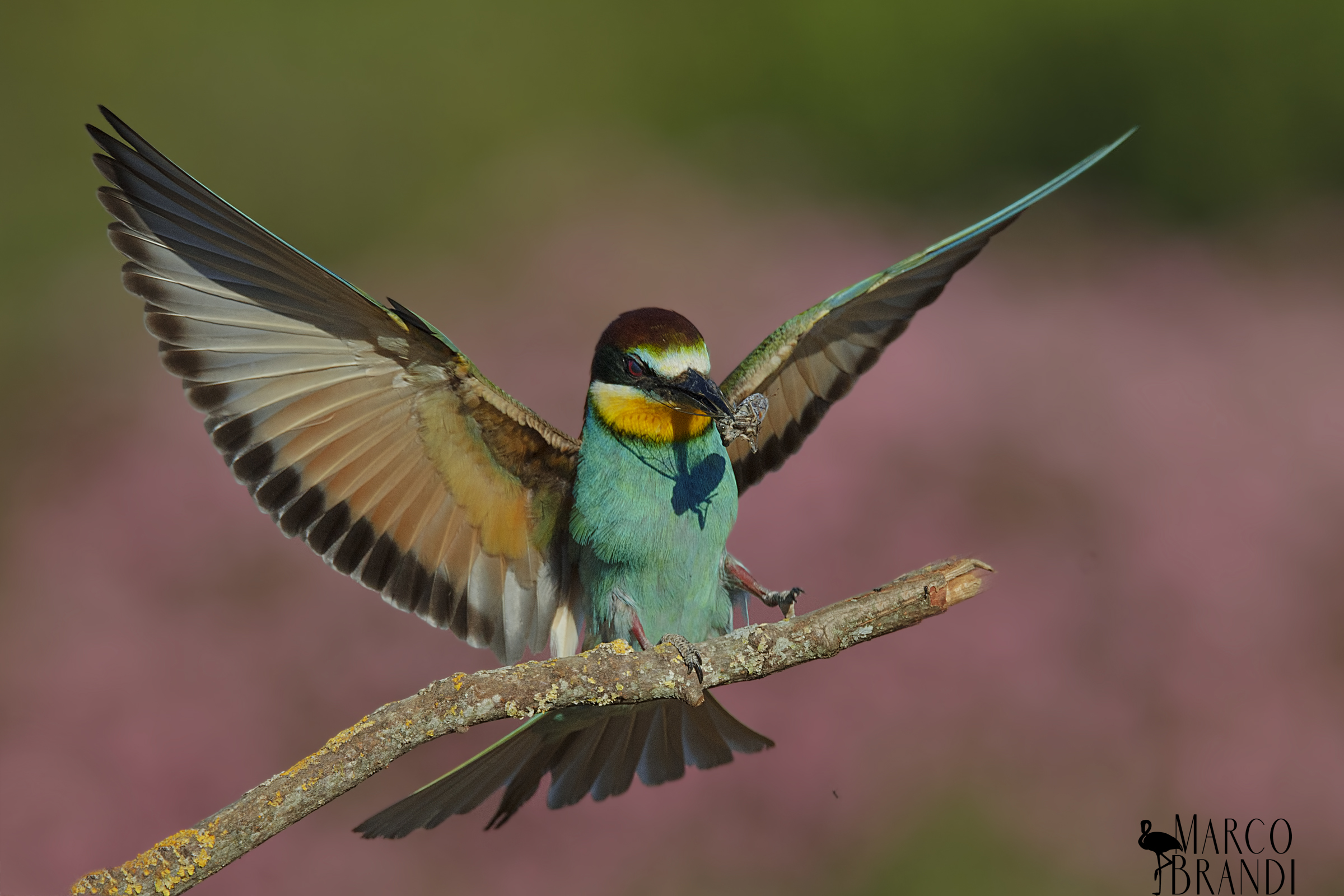 Arrive at the skewer