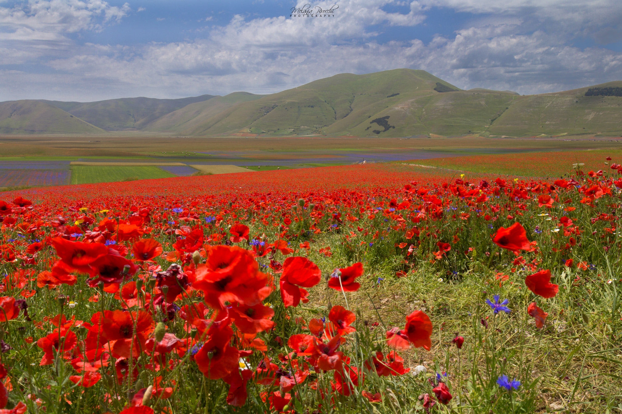 Flat of Castelluccio