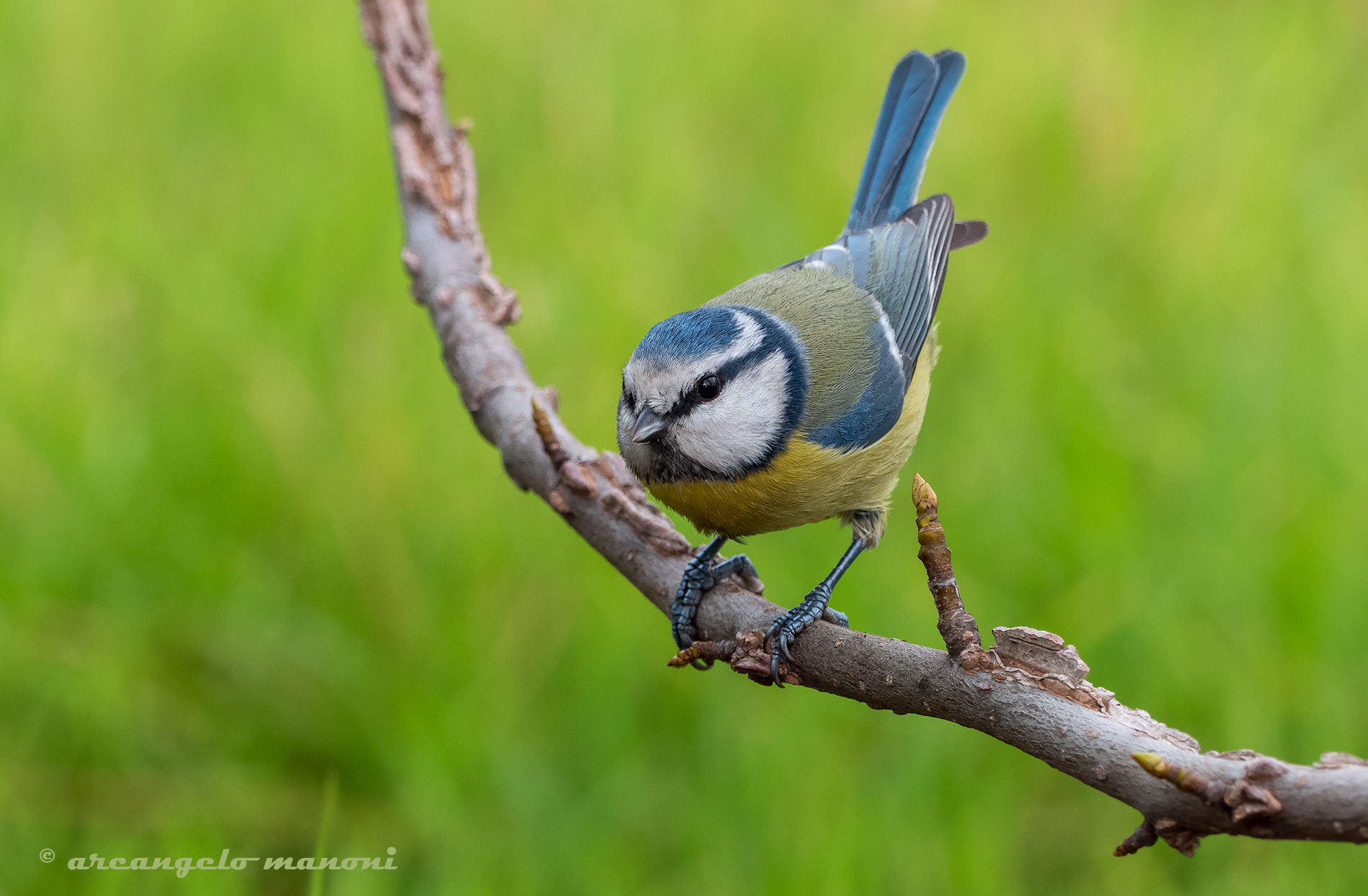 An instant before the flight