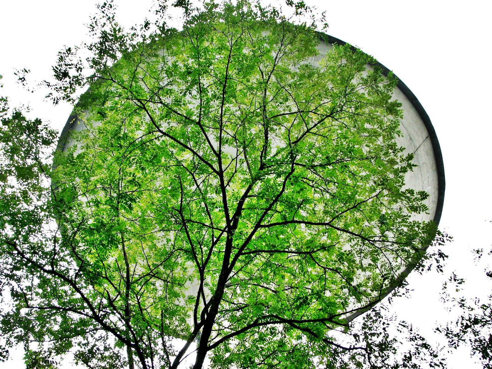 3207 - atterraggio alieno - MI Ceriano Laghetto