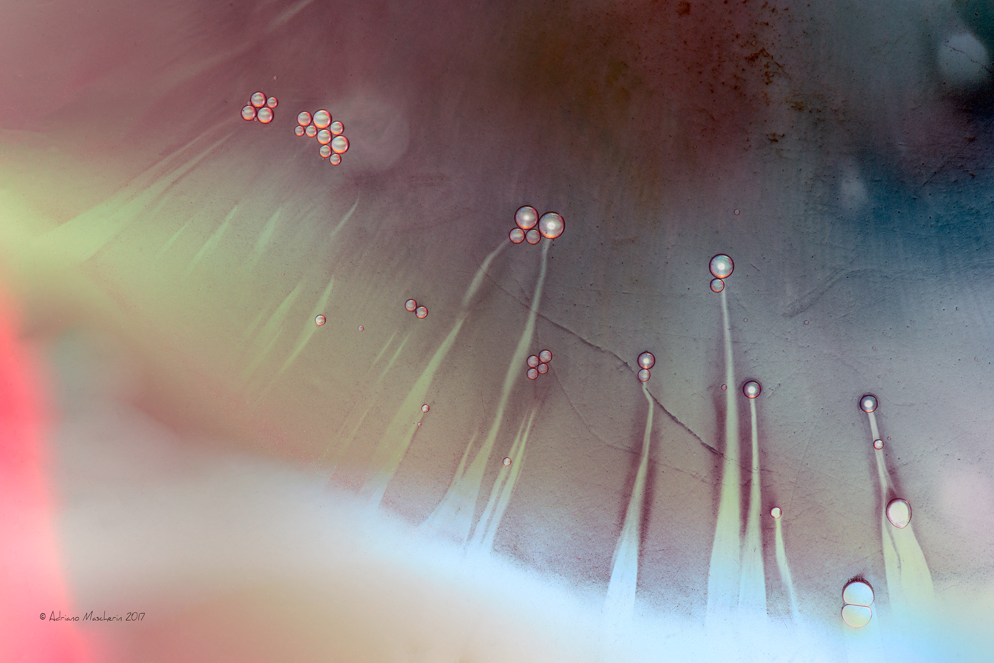 OLtre i muri del tempo