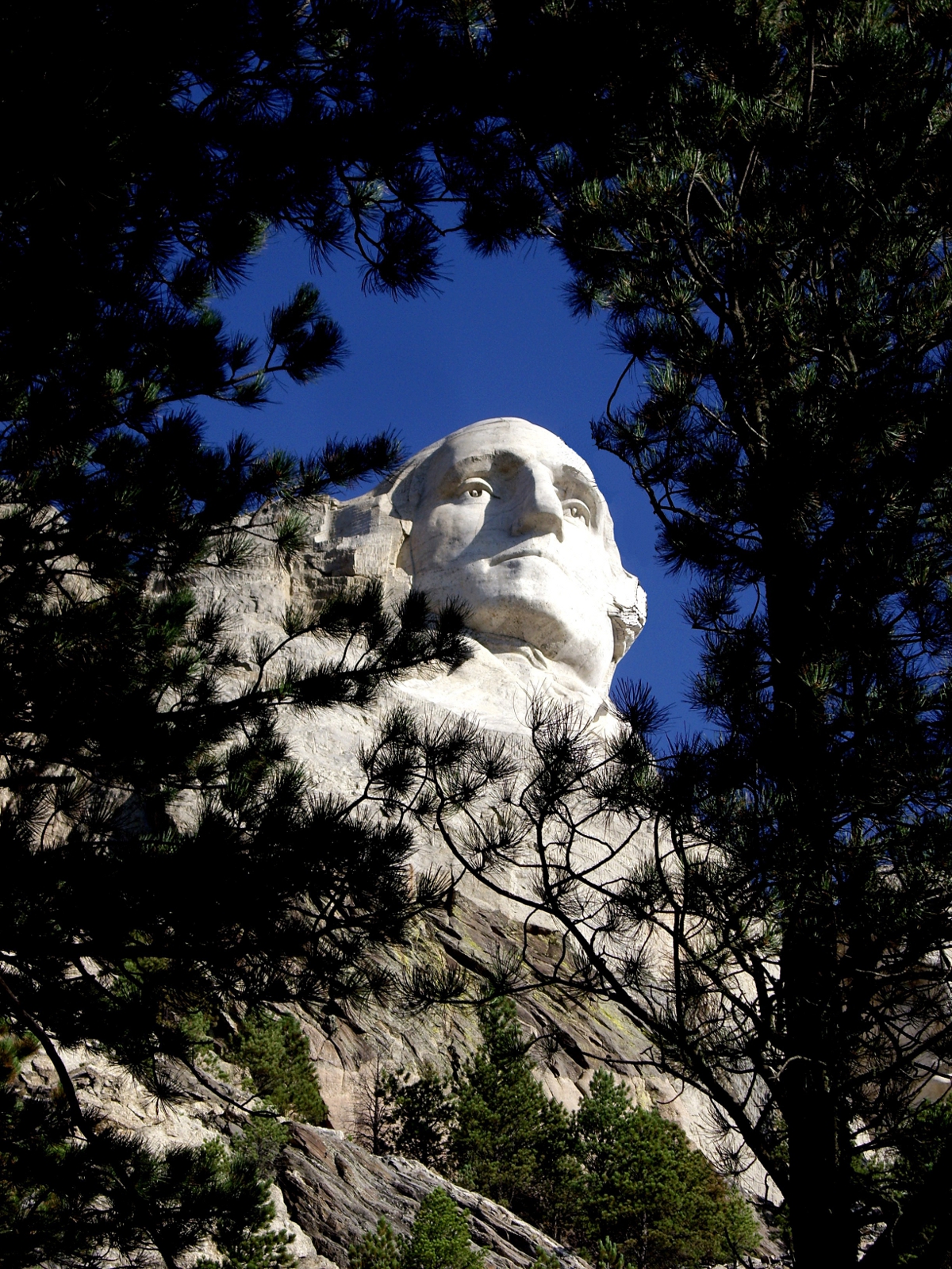 Monte Rushmore South Dakota Usa