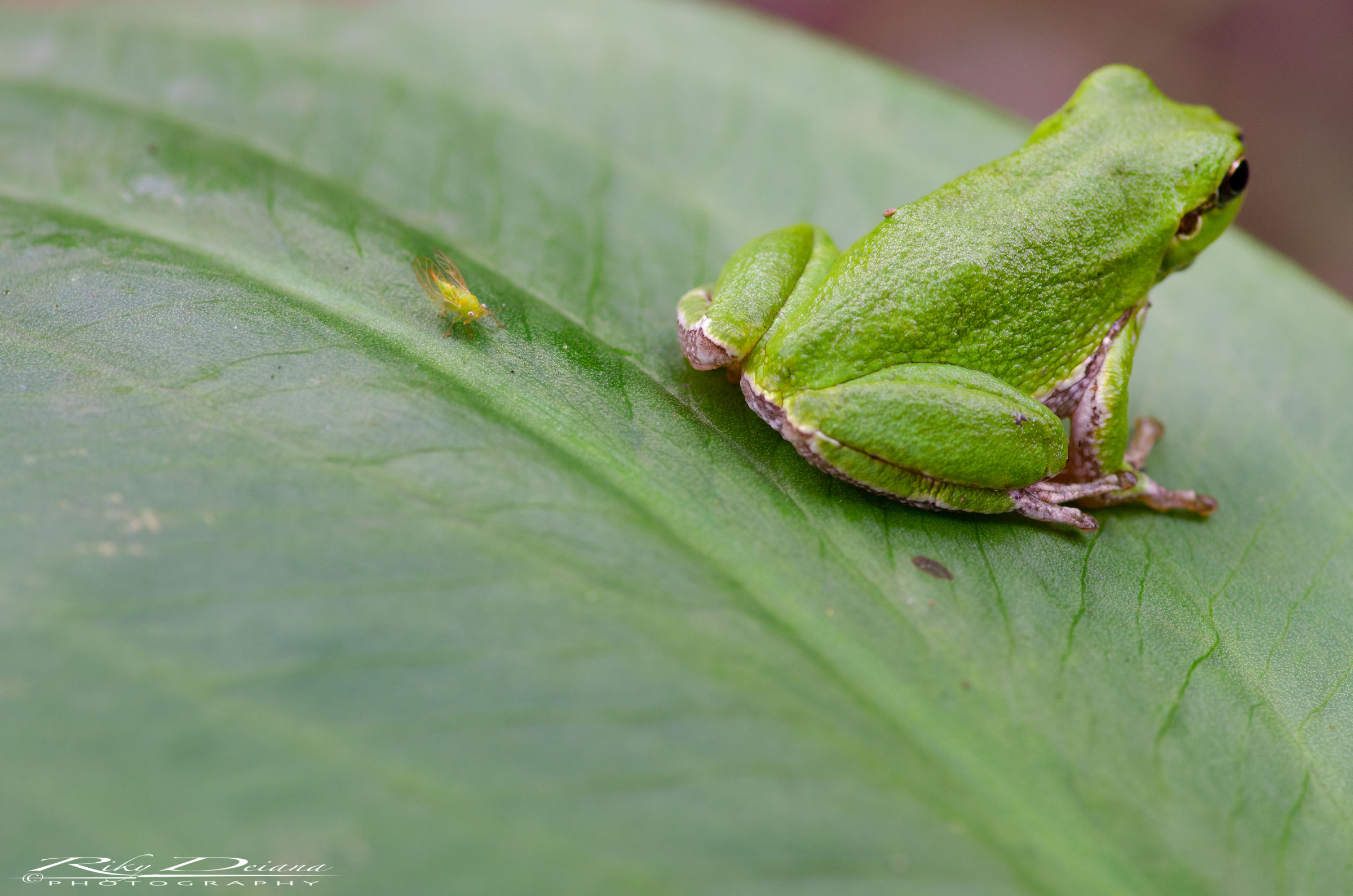...e quando ti parlo guardami in faccia!!!