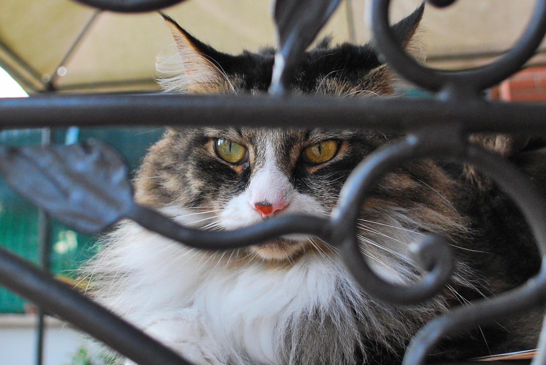 How many thoughts ......