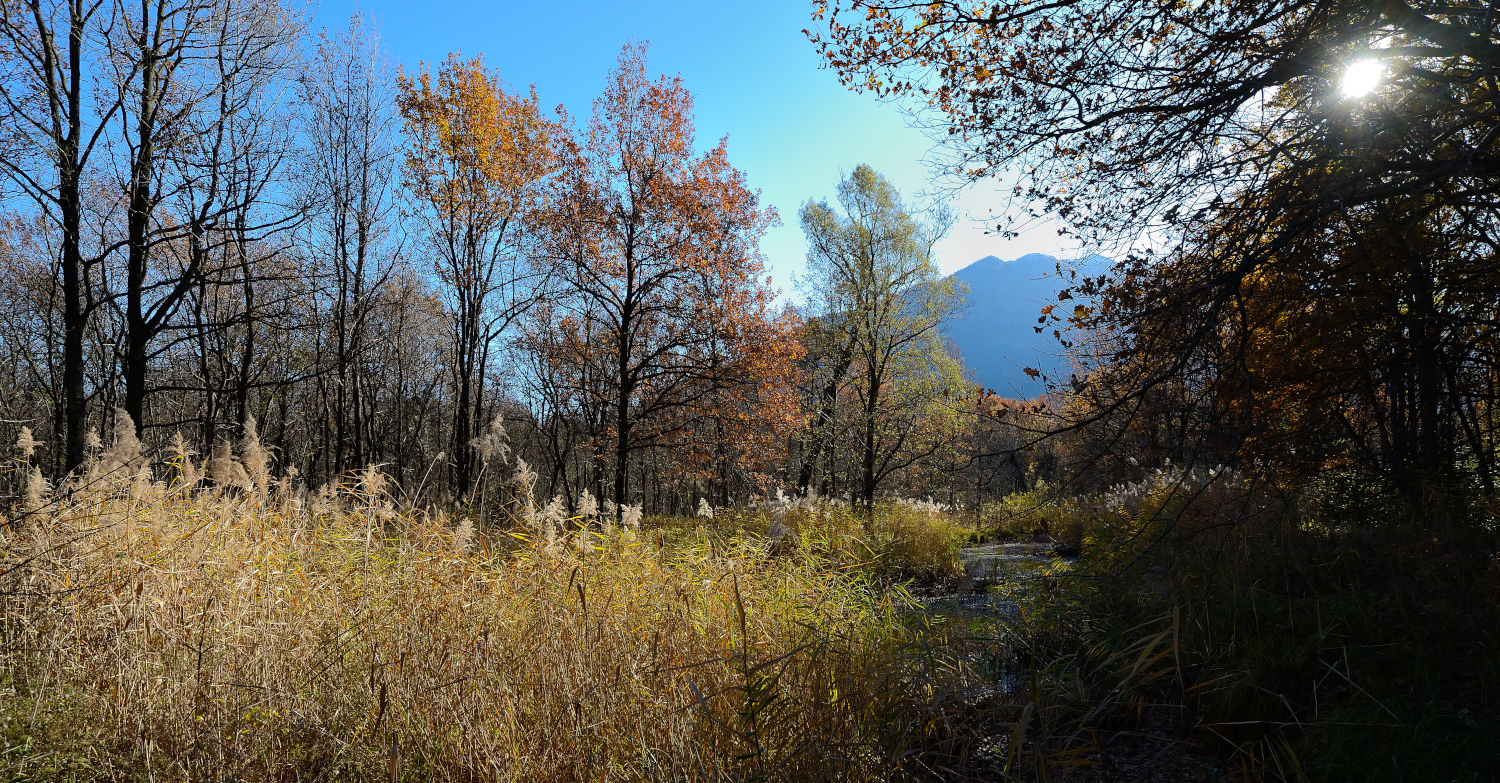 Fine autumn in Tenero