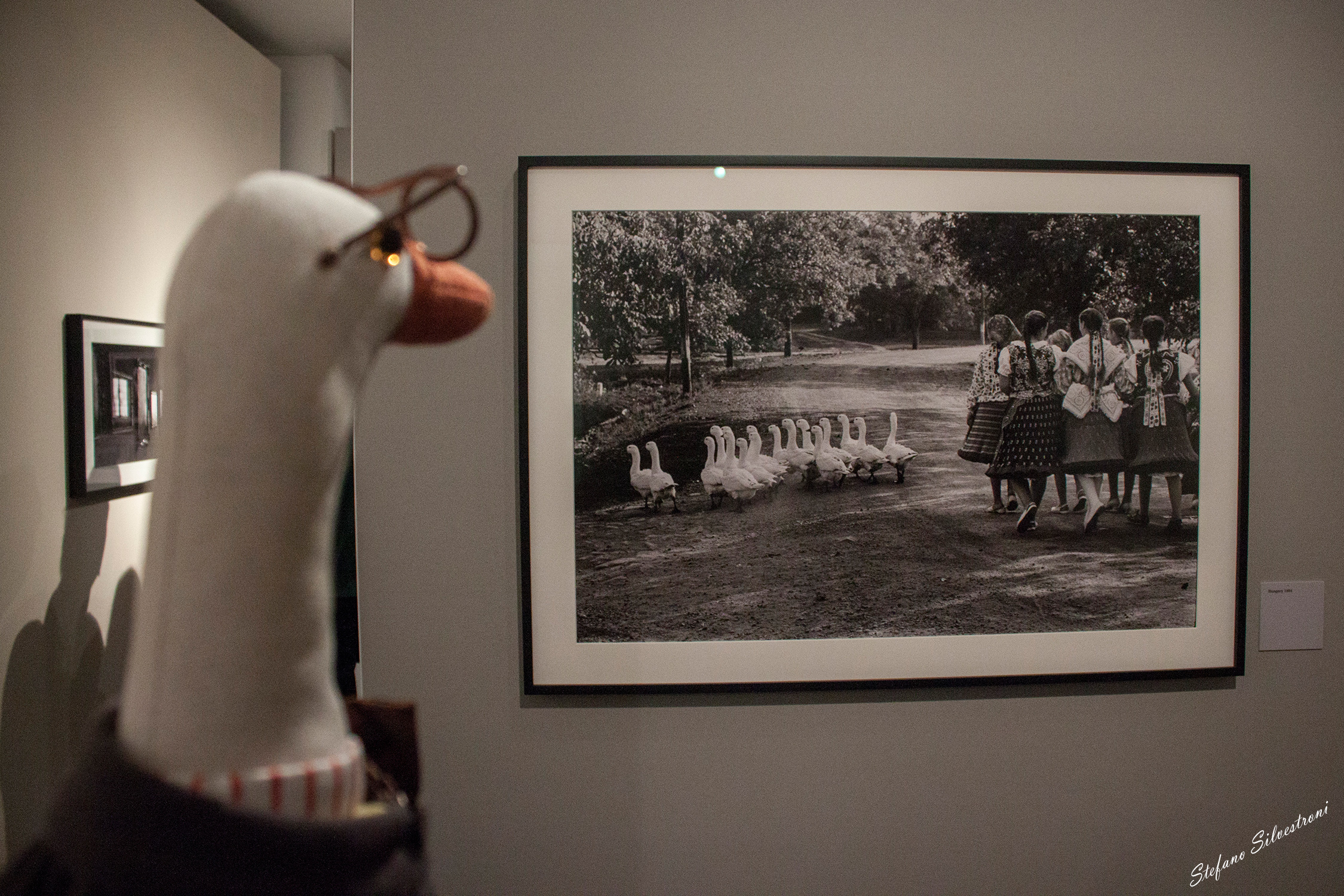 Papers and Papers at the Museum ...