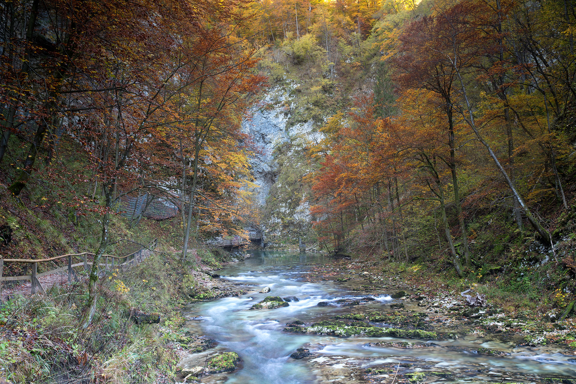 la magia dell'autunno