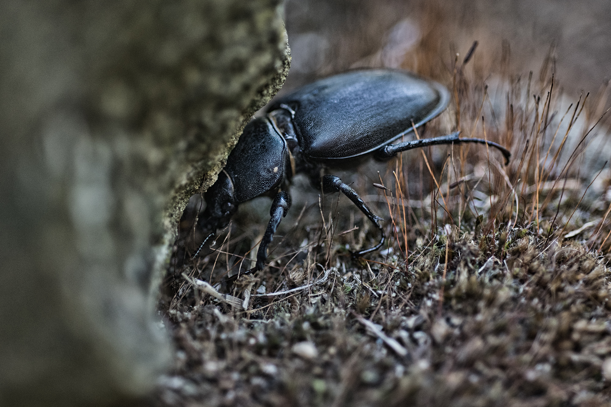 Take off half a stone
