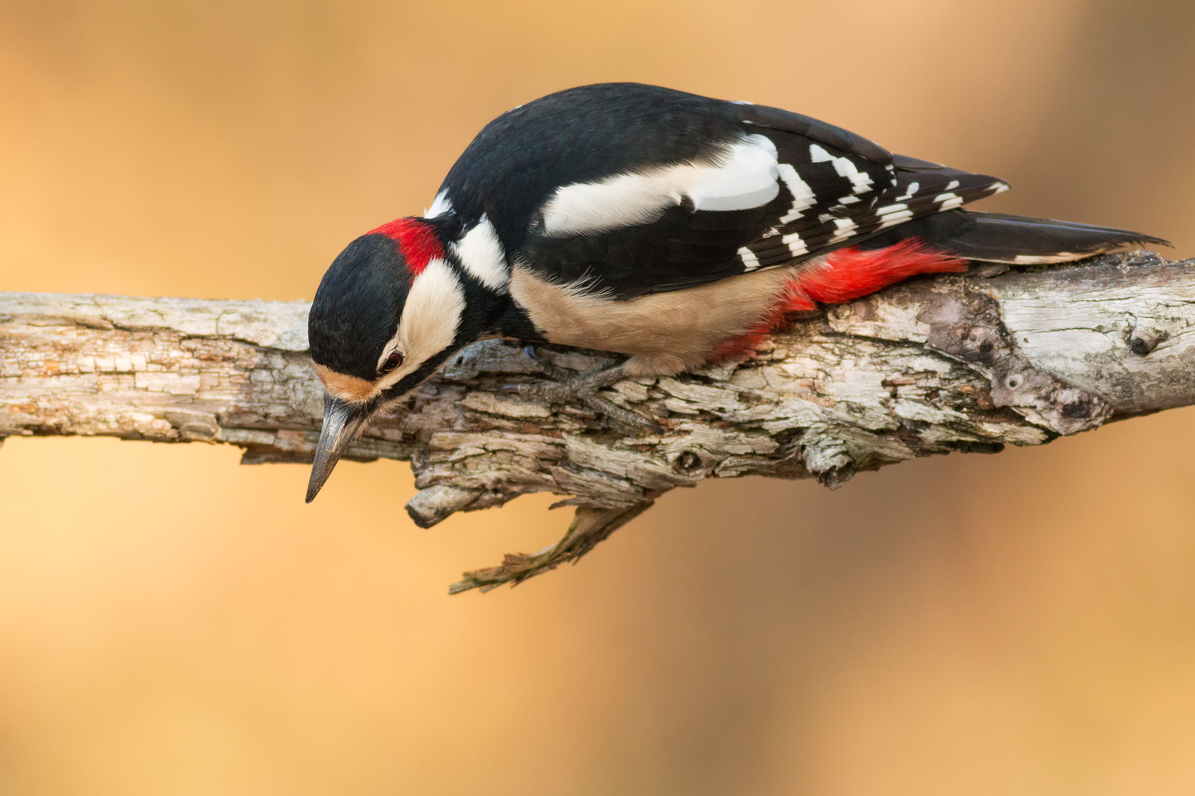 but what's up there?