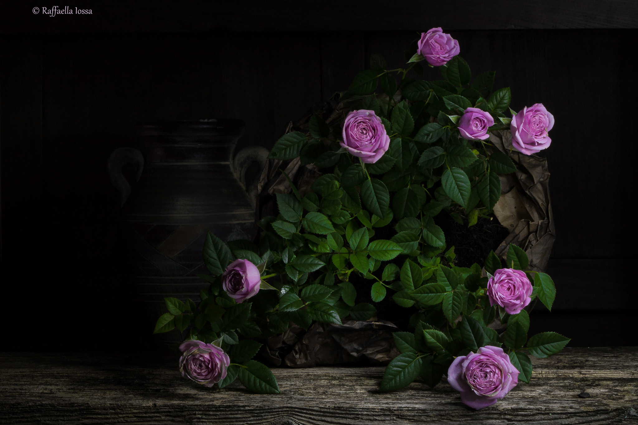 Prima prova light painting