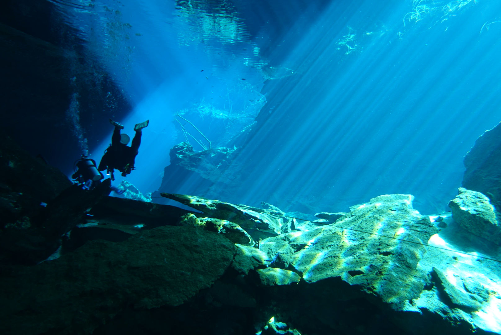 Cenotes dream 2