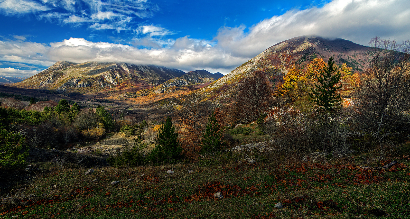Autumn in pnalm