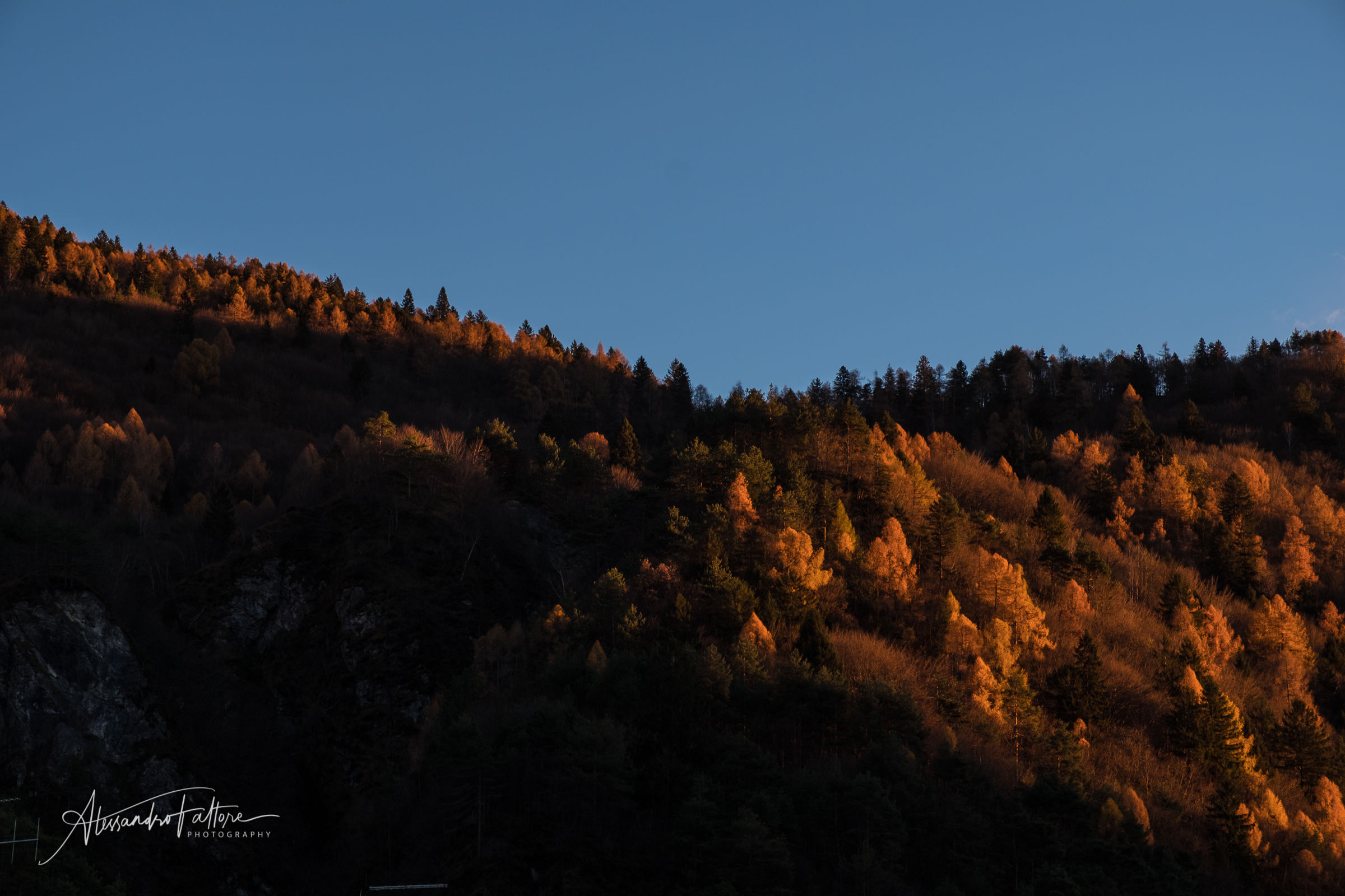 Luci ed ombre d'autunno