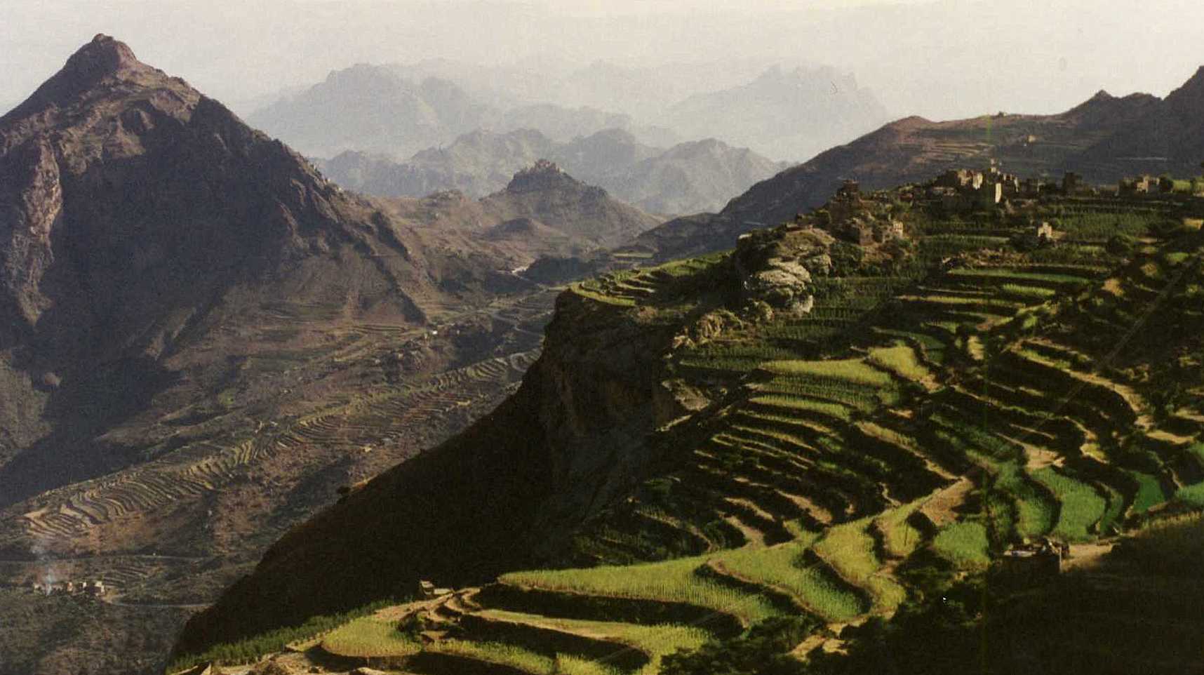 291 - Jabal Shahara, 2600 m high