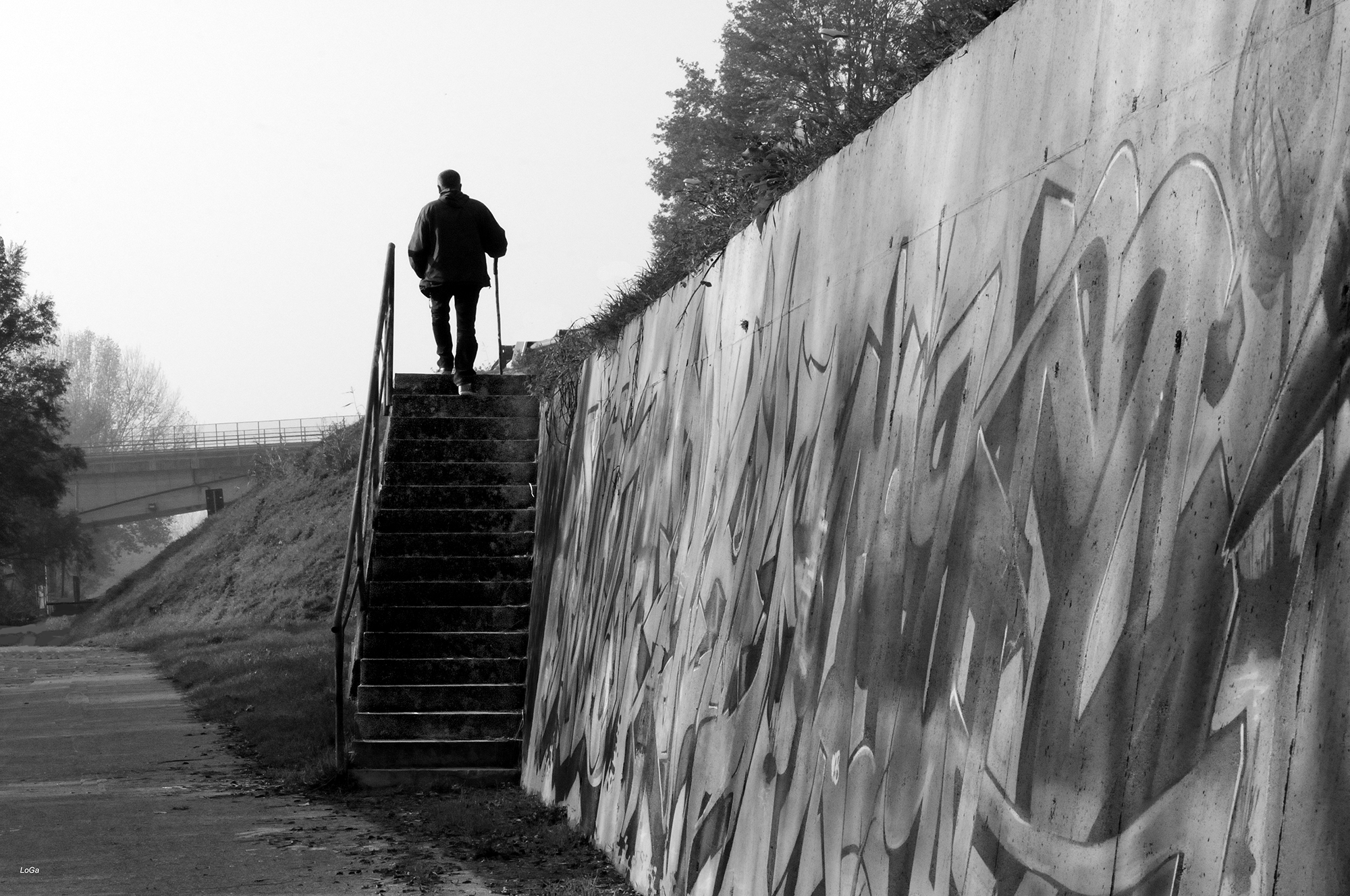 The life. A downhill climb.