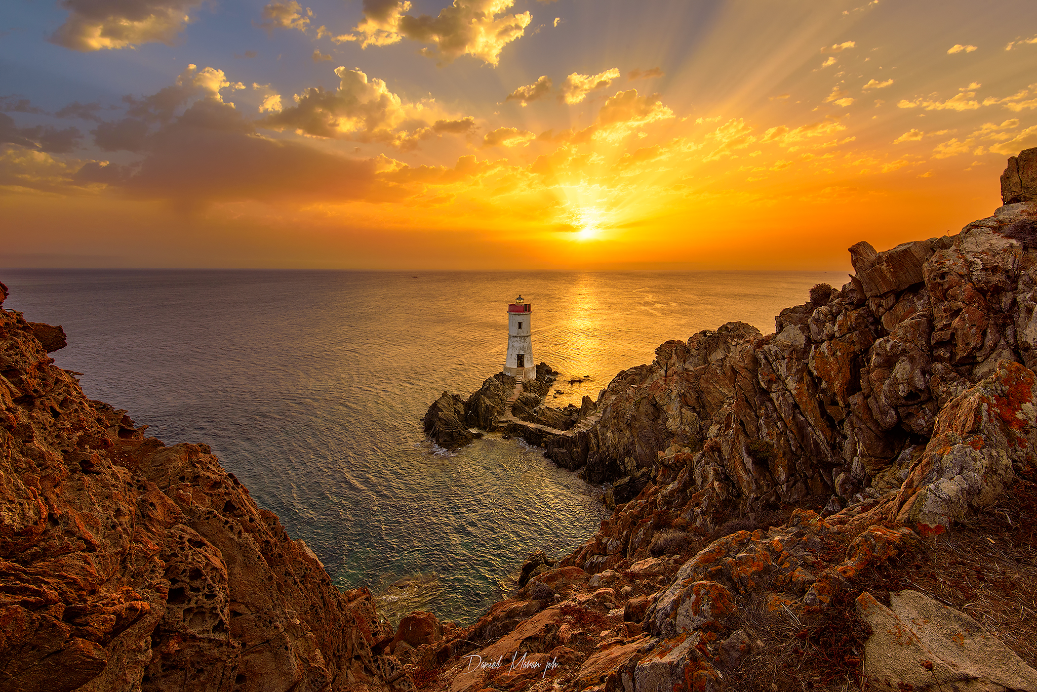 Ogni cosa che puoi immaginare la natura l'ha già ...