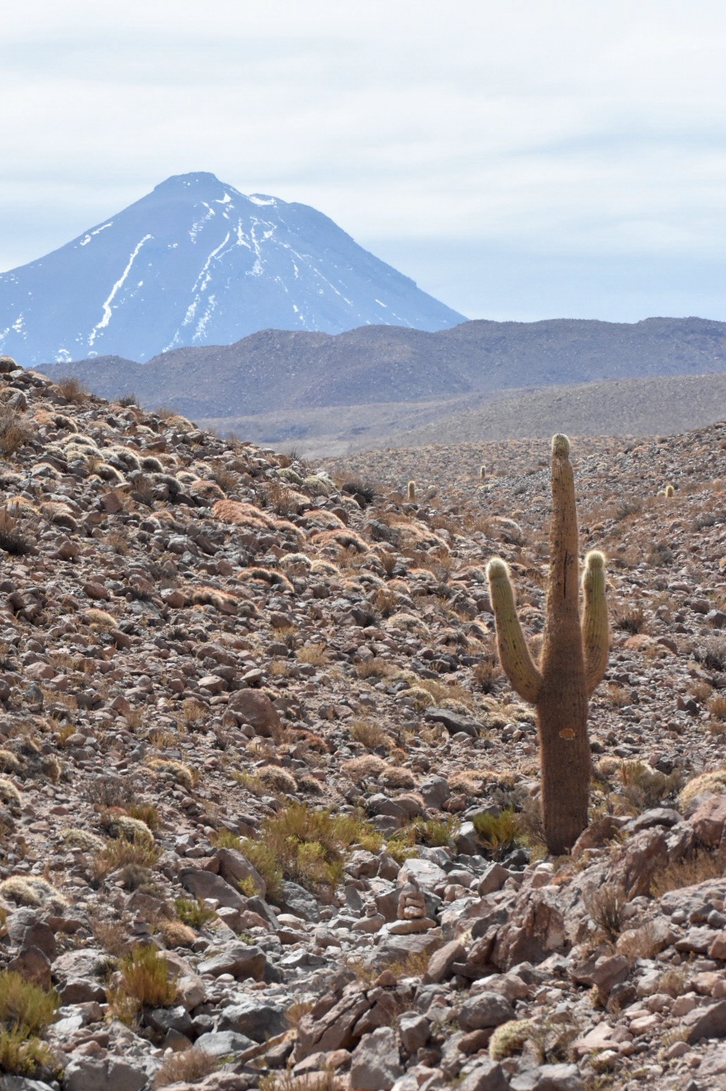 Vulcano Licancambur - Deserto di Atacama - Cile