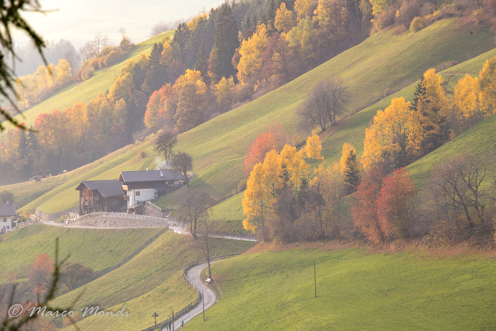 Autumn in Val di Funes