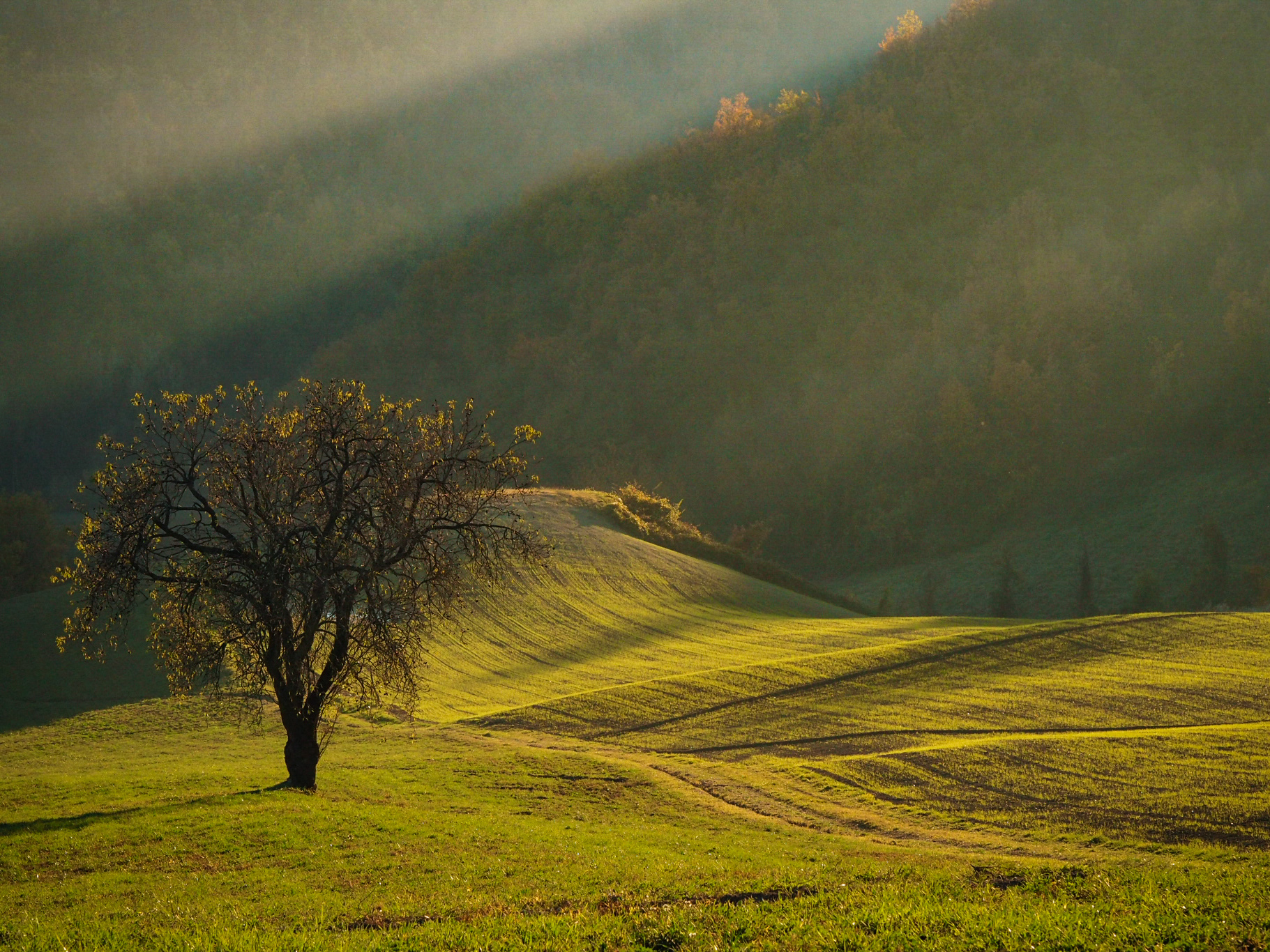 Geometrie nella nebbia