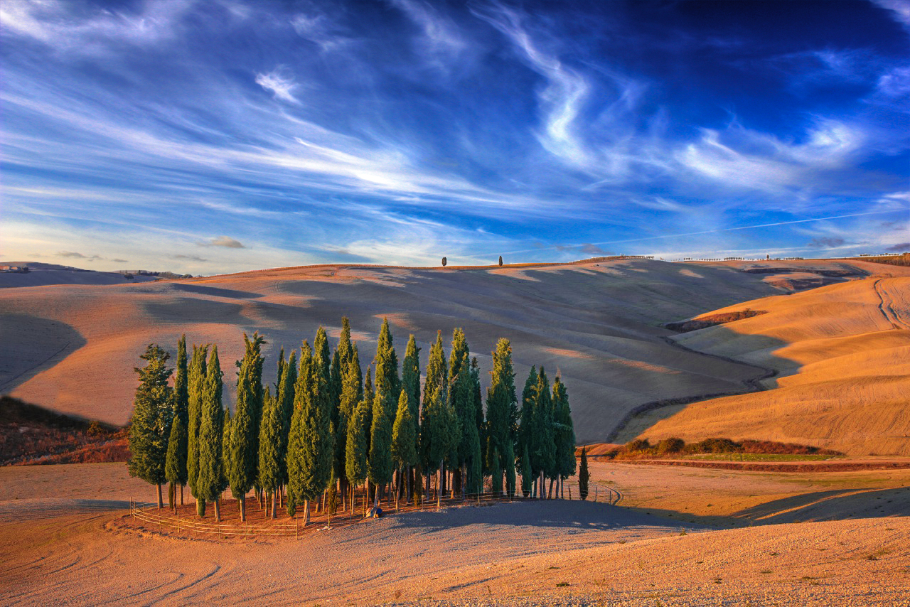 Cipressi San quirico d'orcia