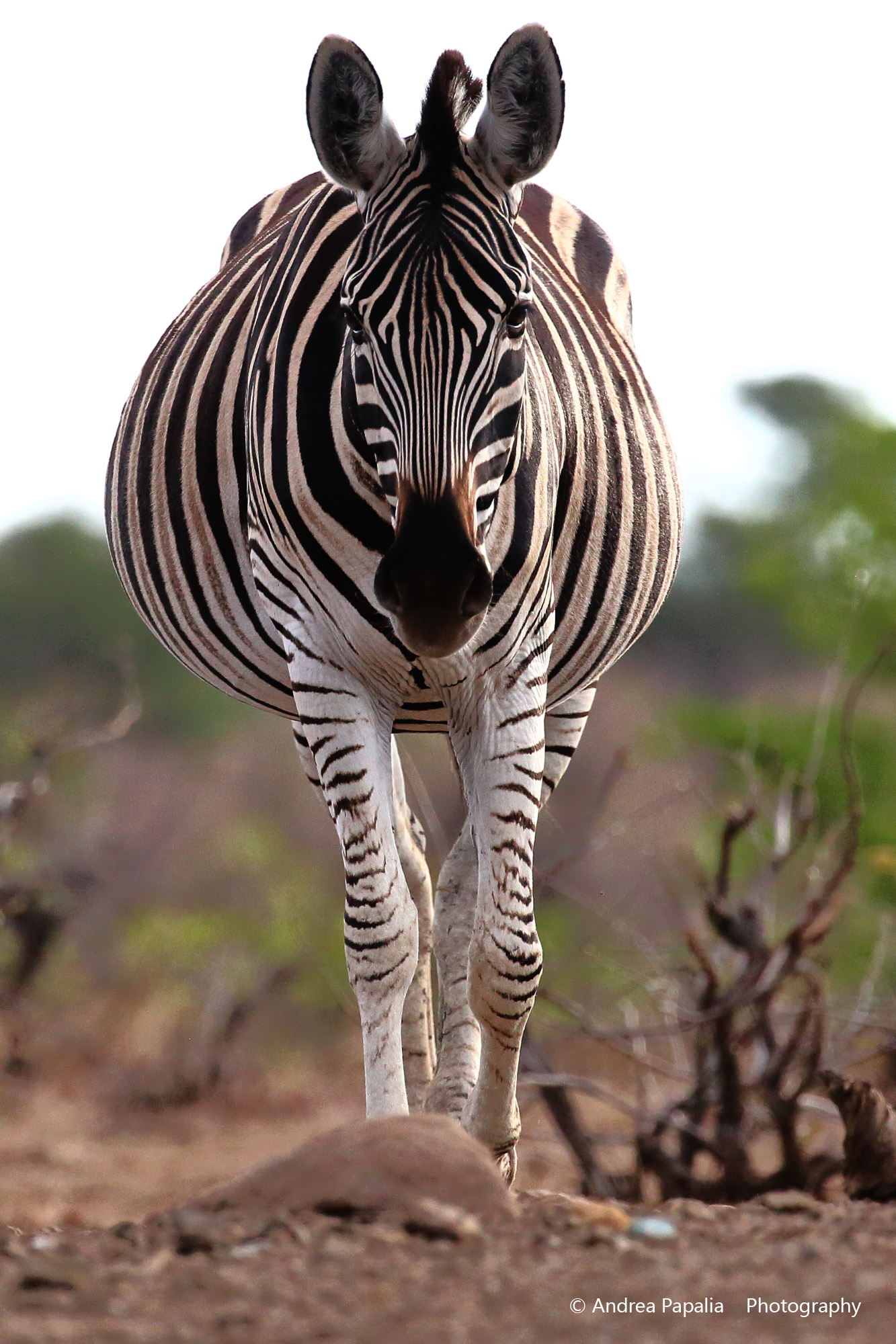 Conosciamoci.. sono una tipa interessante