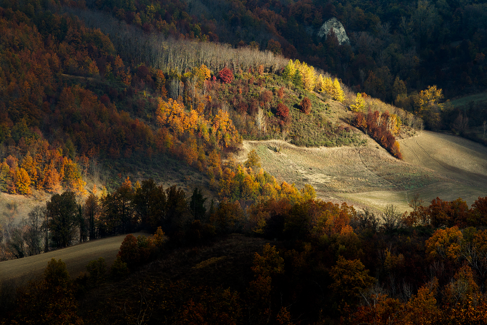 Autunno sull'Appennino Lombardo