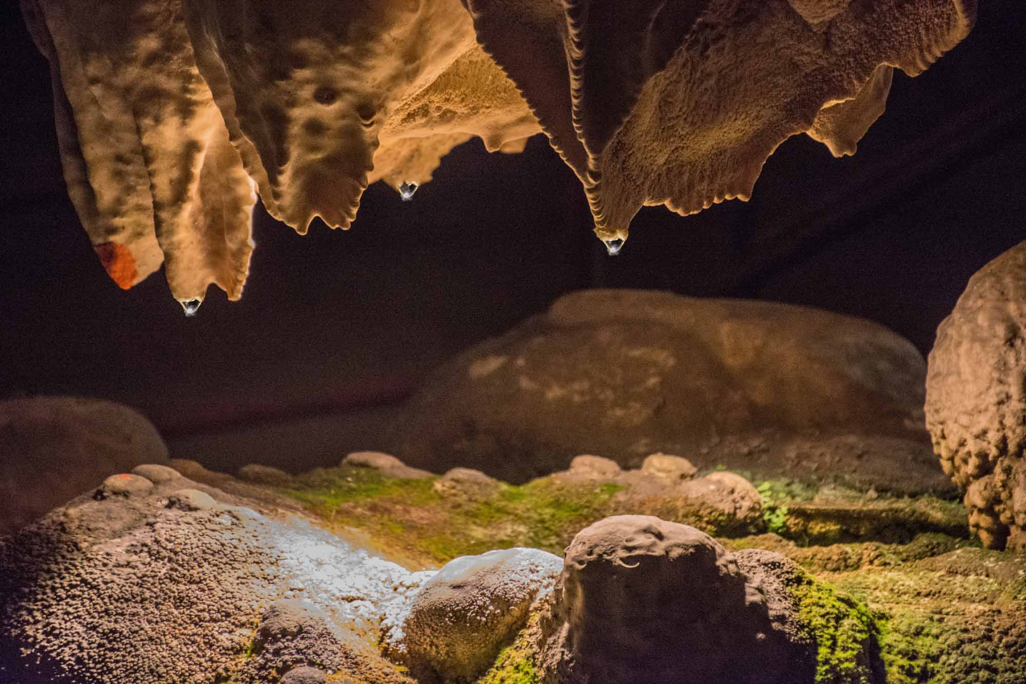 Gutta cavat lapidem..