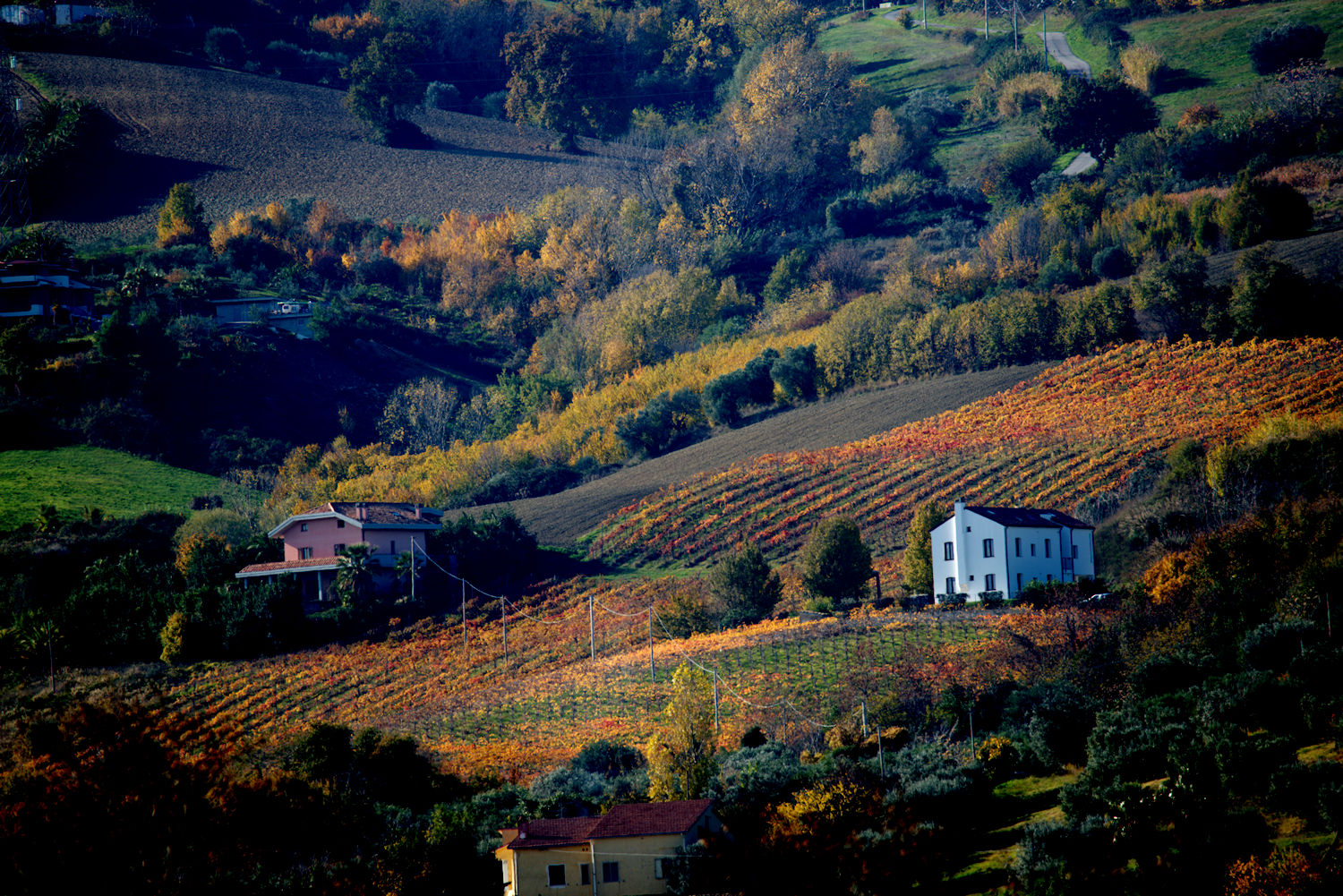 Abruzzo Hills