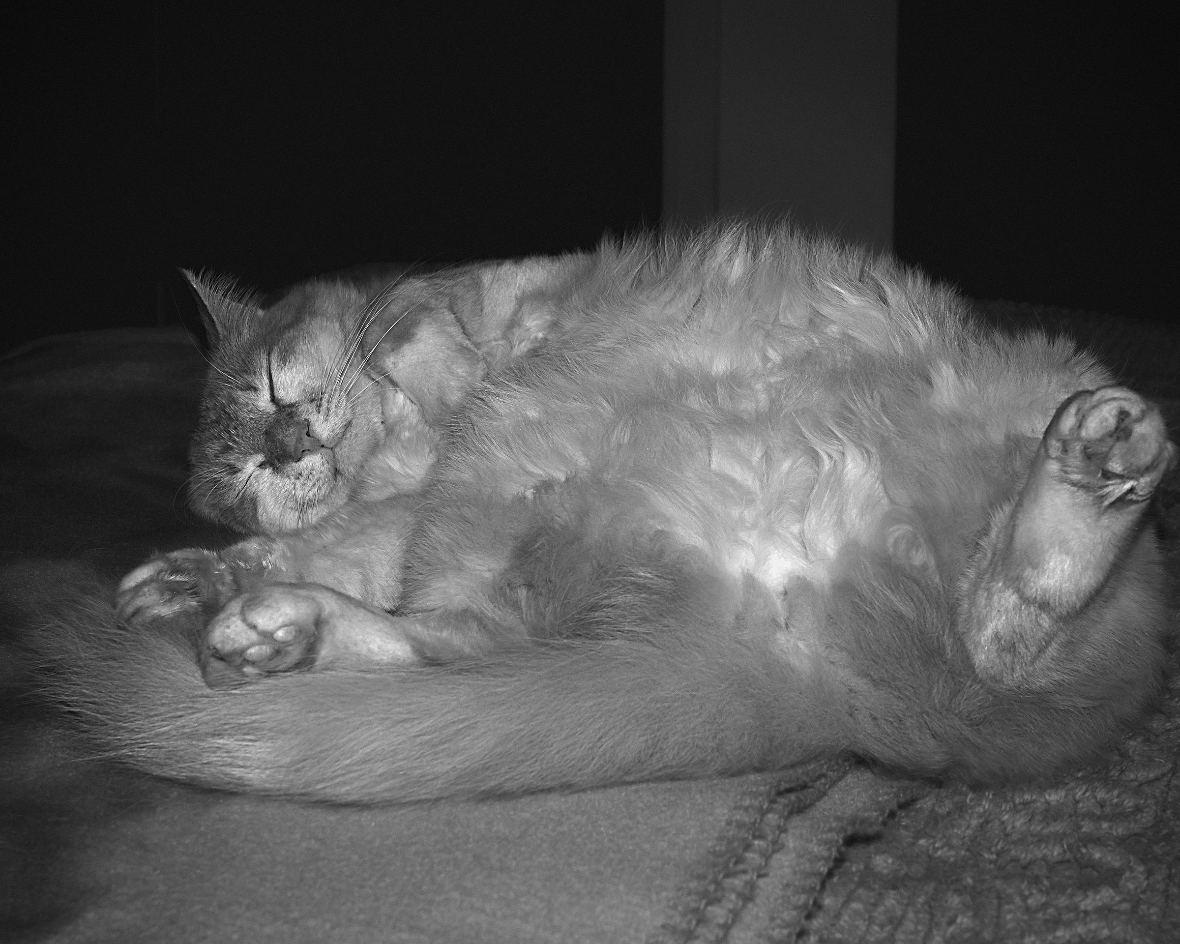 Morbidoso sonnacchione BN