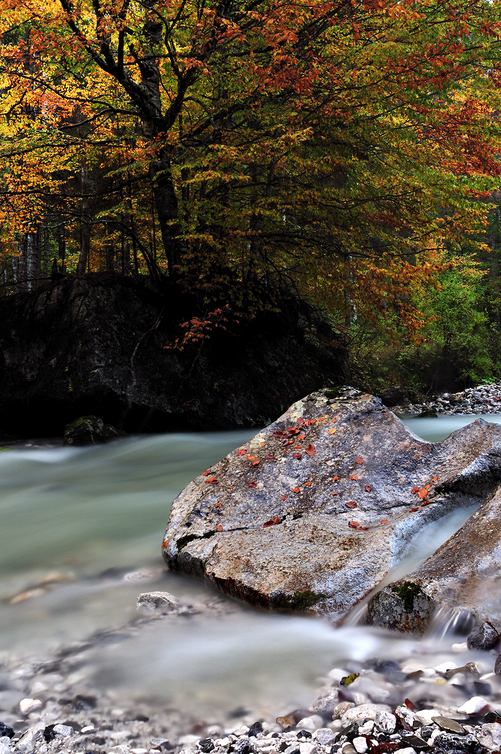 Autunno in Val Saisera - Alpi Giulie