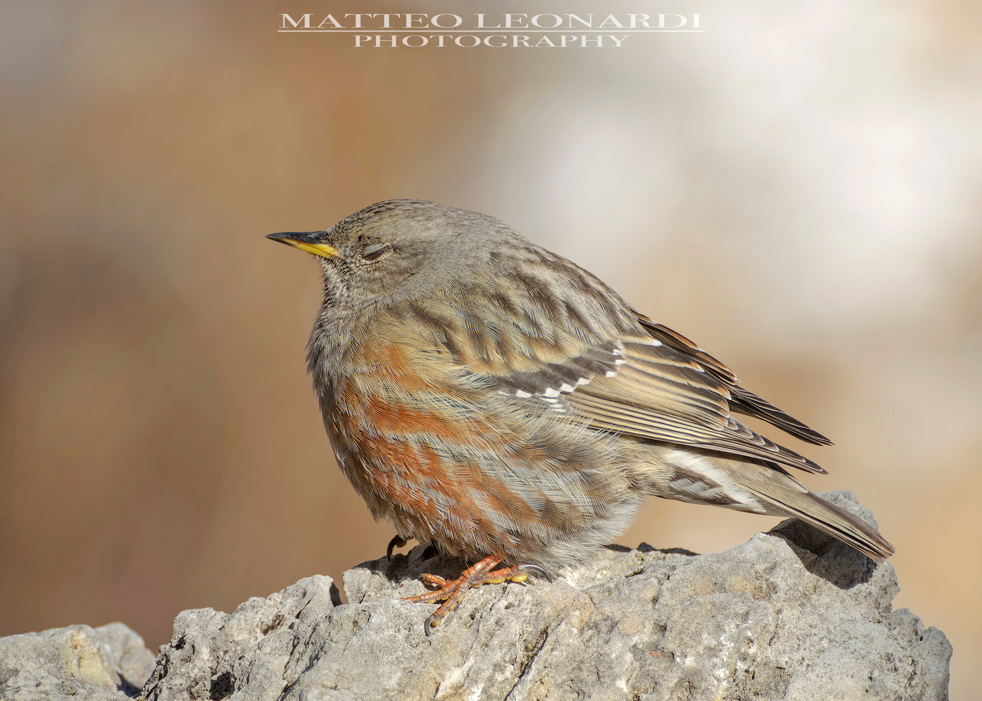 Sordone - Apuan Alps