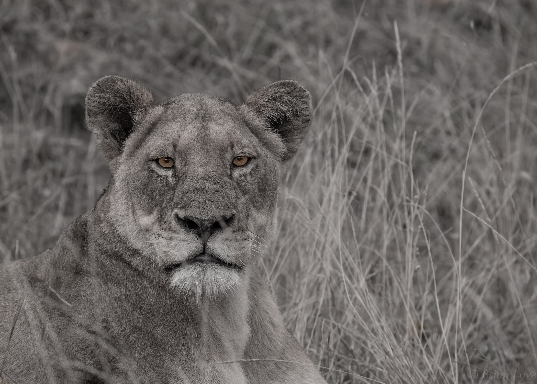 Dignity and Intensity