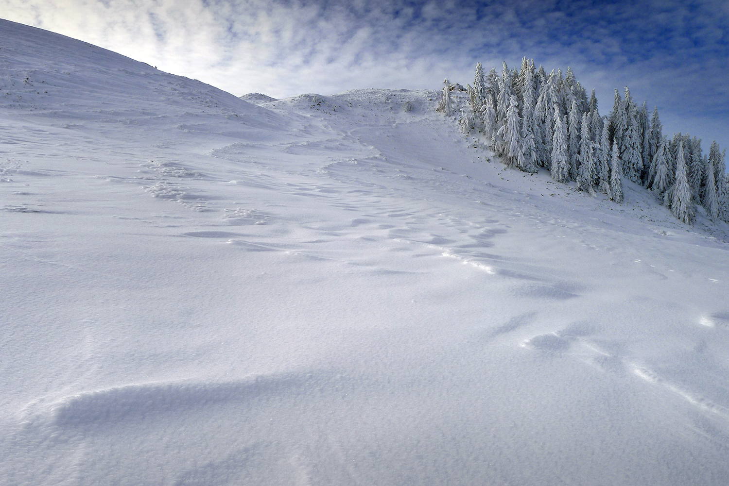 Frozen - Alpi Carniche