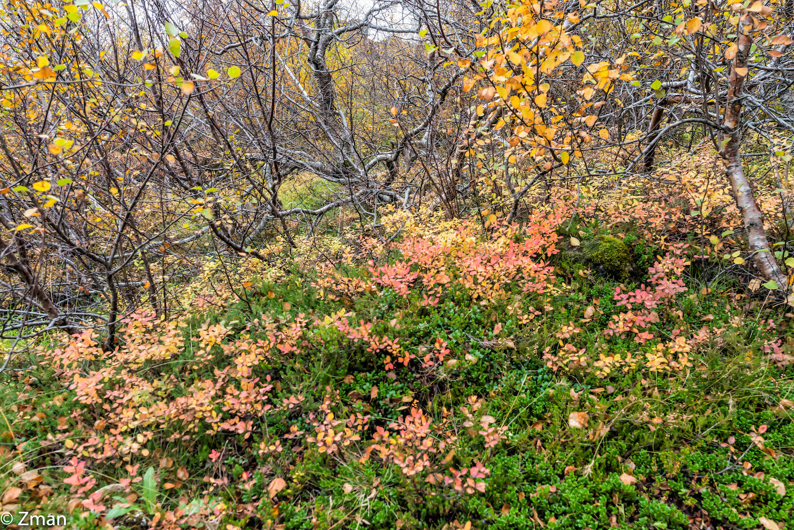 The Crack in Thingvellir