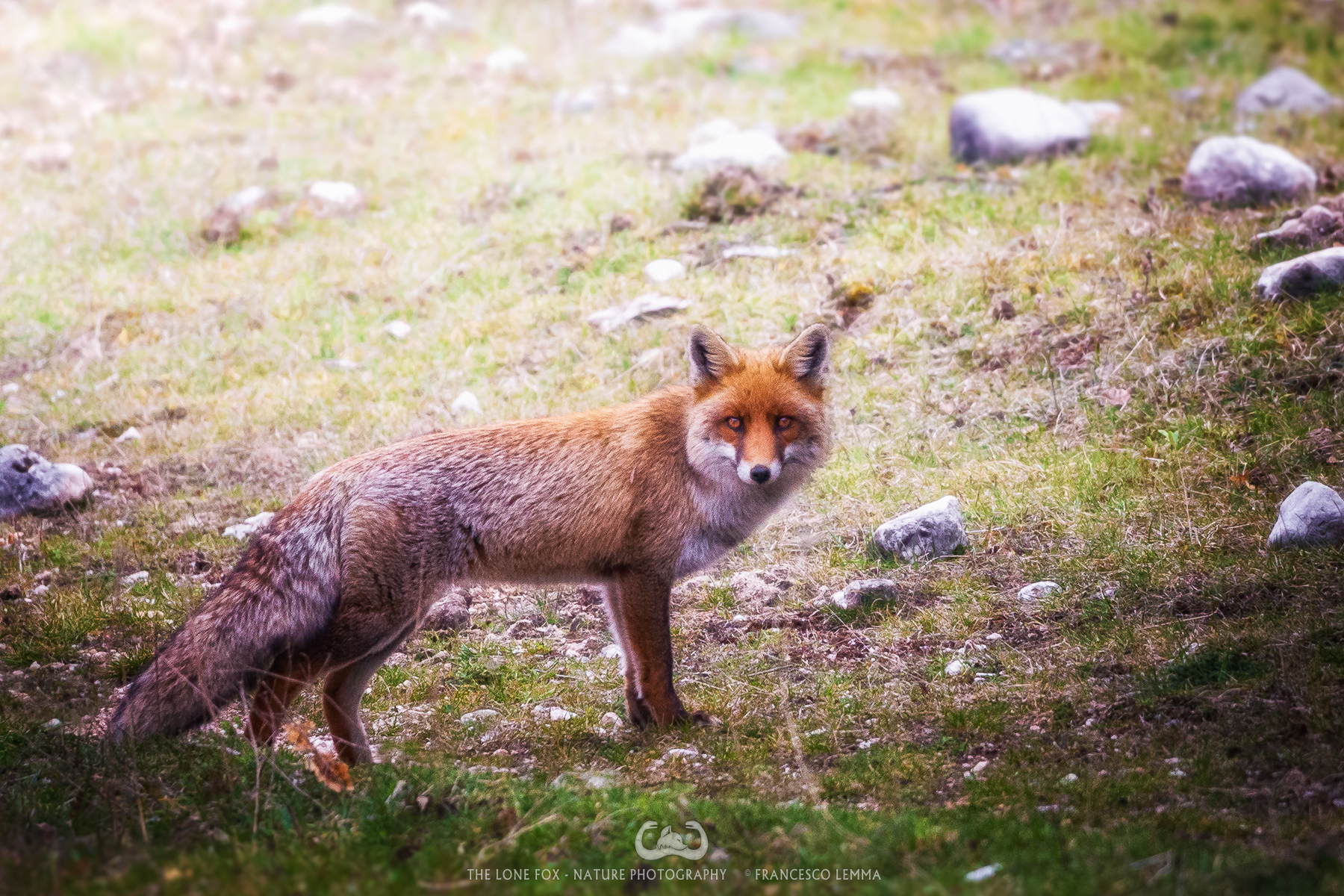 A few seconds appearing