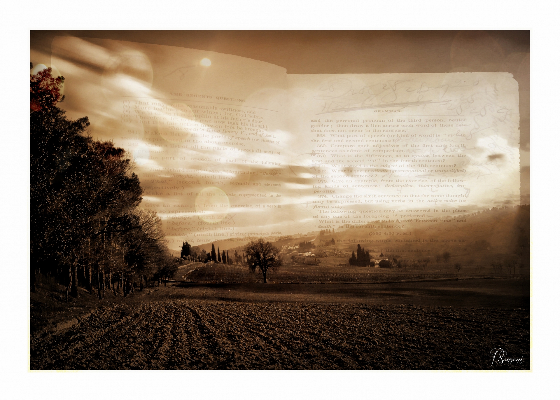 La fotografia va letta