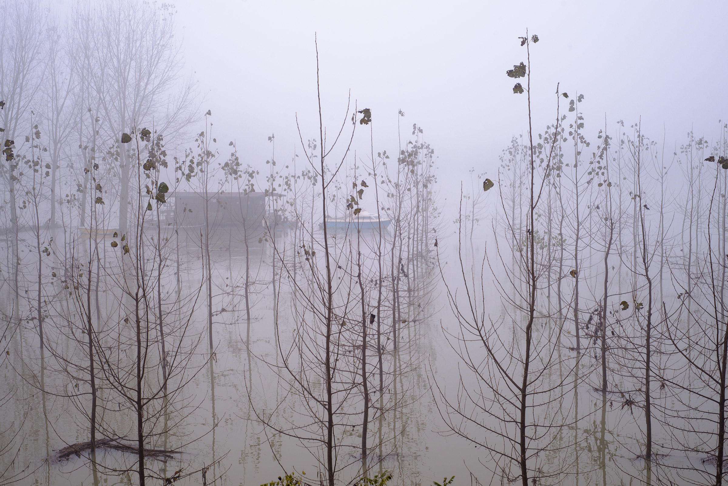 Silenzioso scorre il fiume