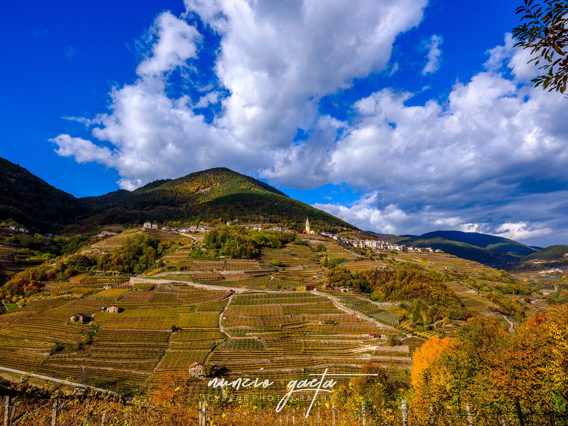 Autumn Cembra valley