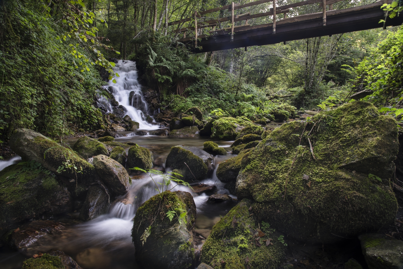Sul sentiero dei carbonai