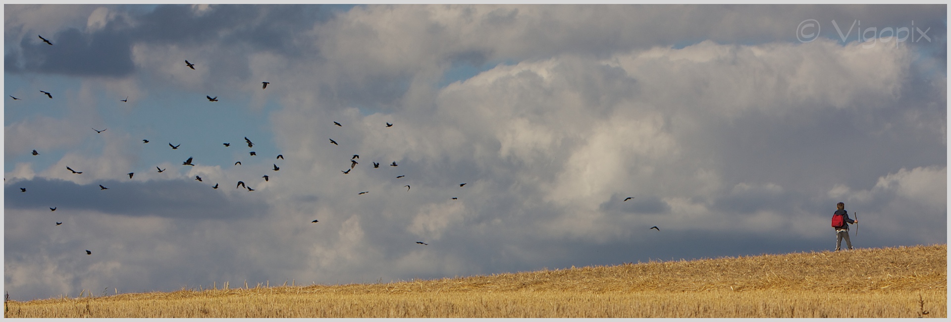 Il piccolo sciamano e la battaglia con i corvi