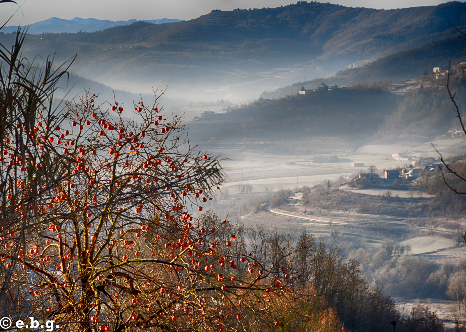 Langa landscape in autumn
