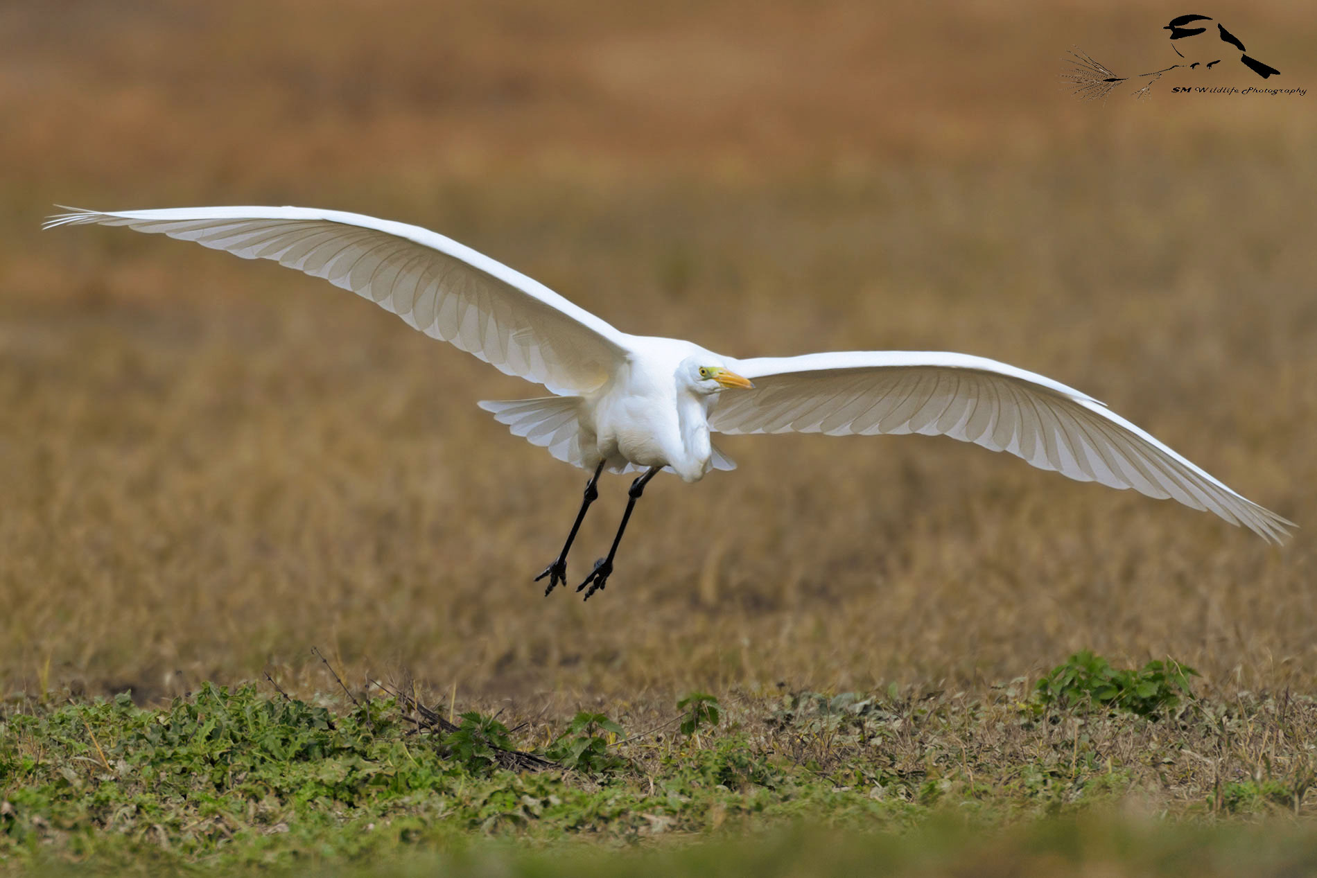 Virata del Bianco ..