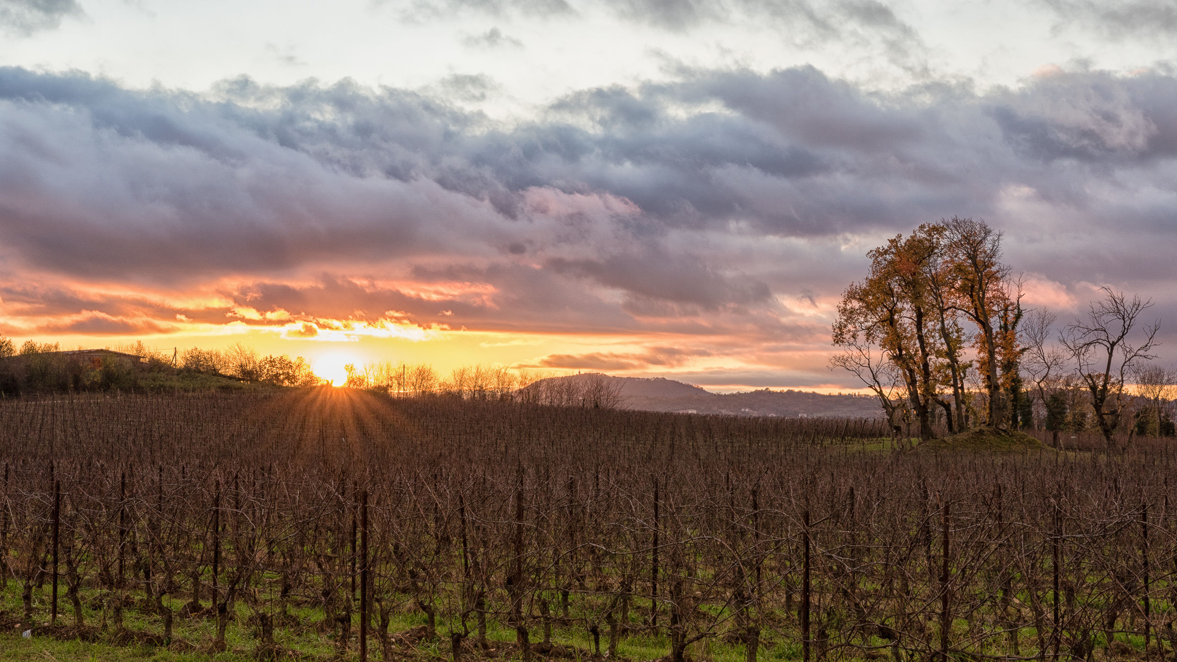 Sunset in Franciacorta 3