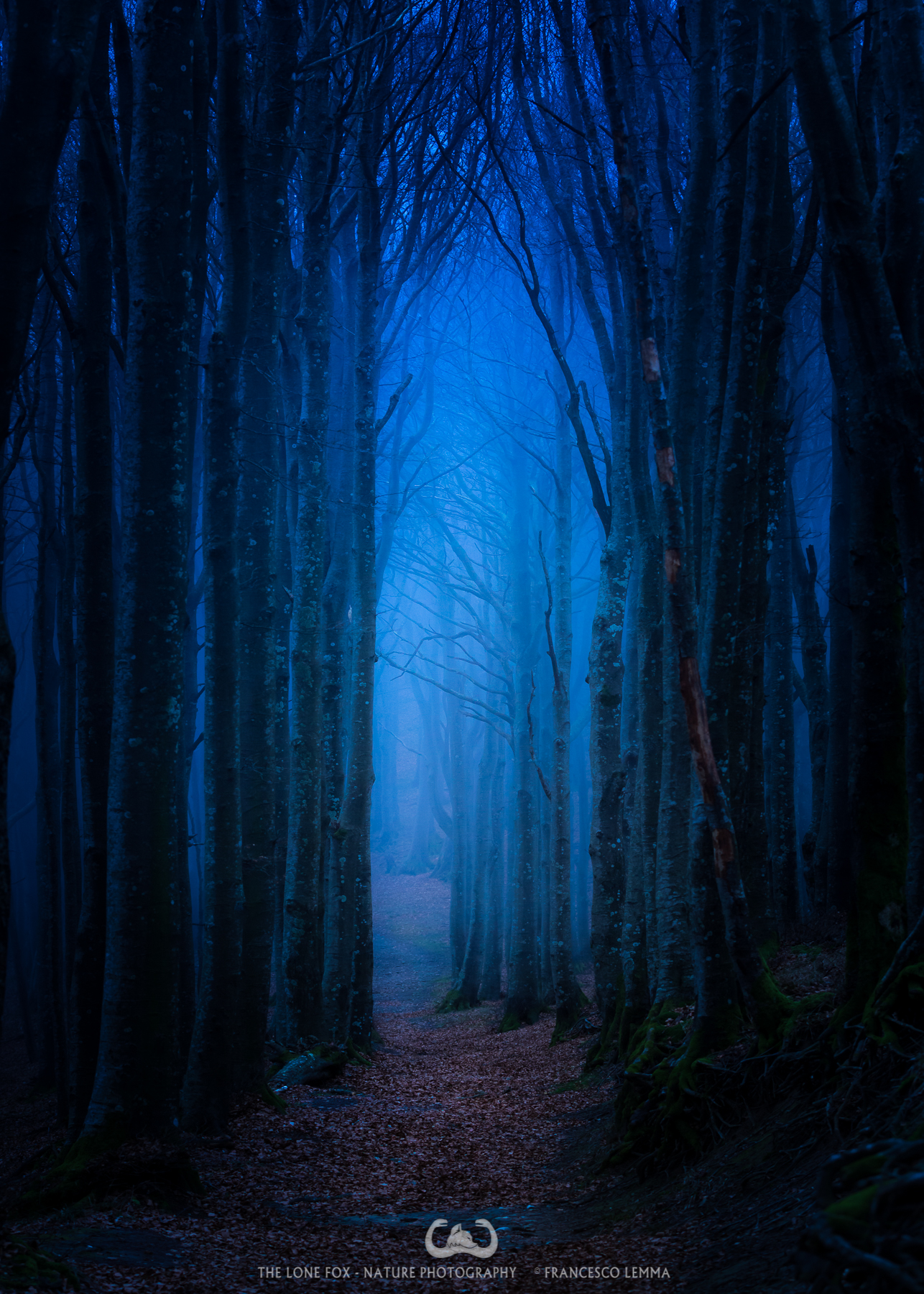 The Blue path