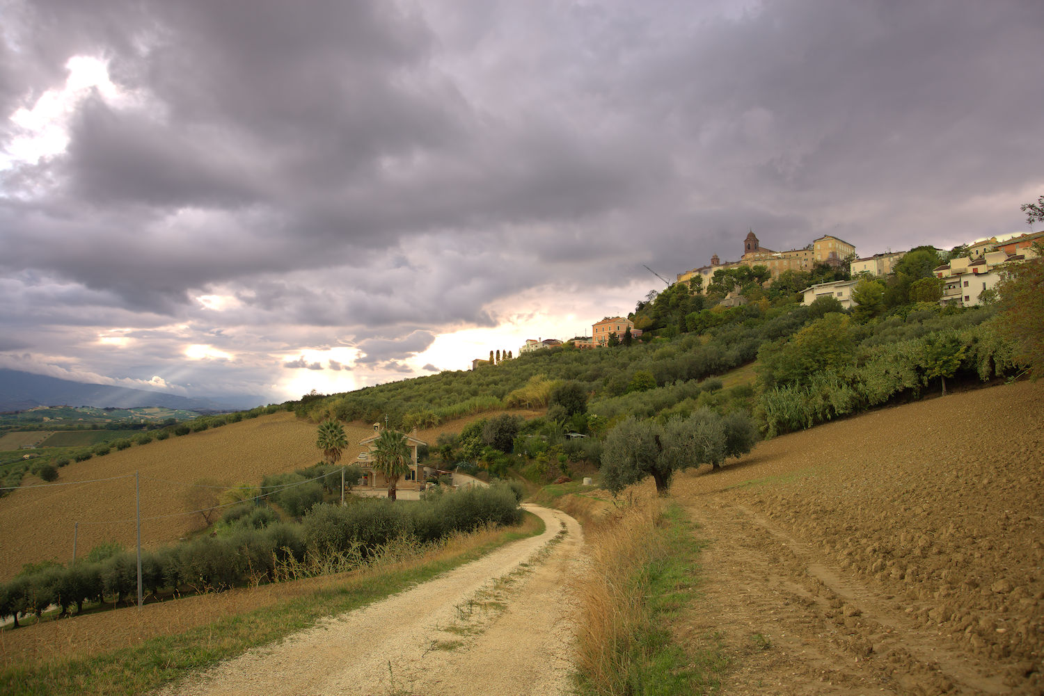 Hills of Monteprandone